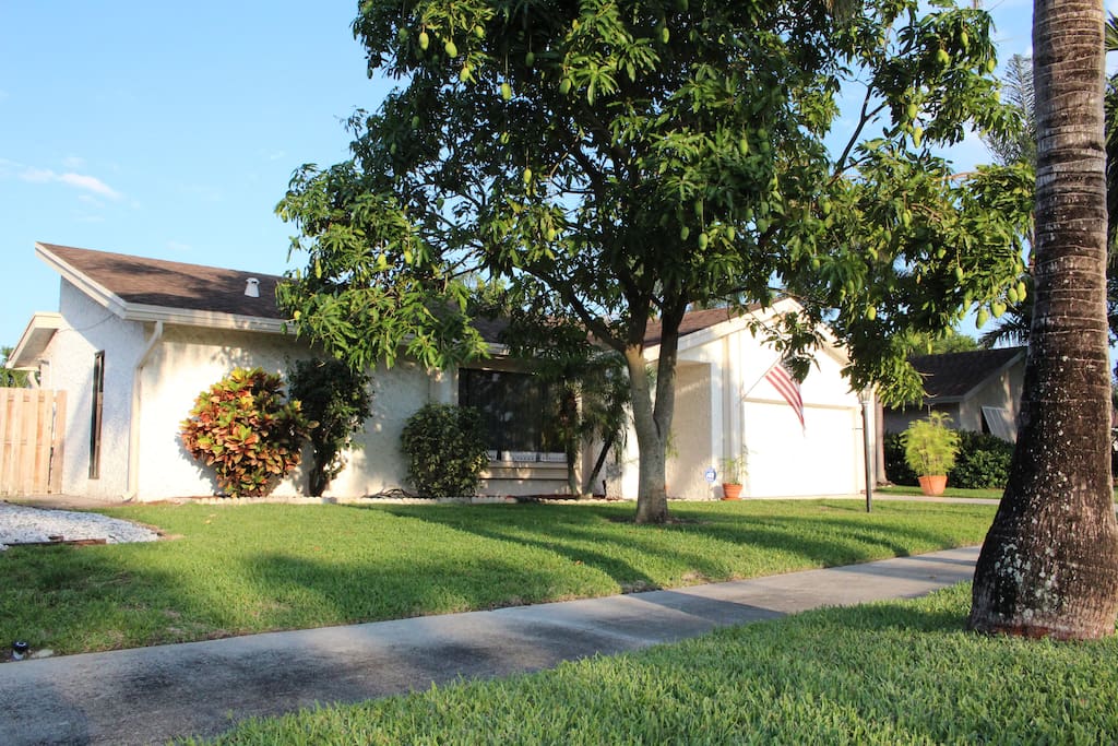 House and Frontyard