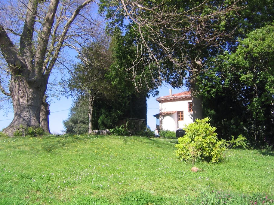 Vistas alrededor de la casa