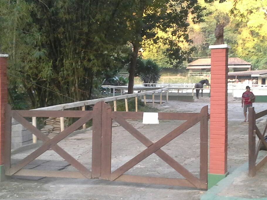 Hipica