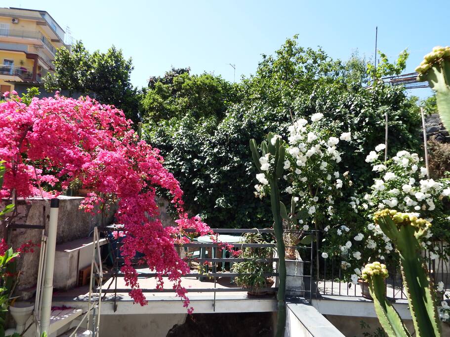La casa di Simona