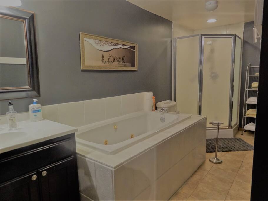 Large bath with separate tub and shower