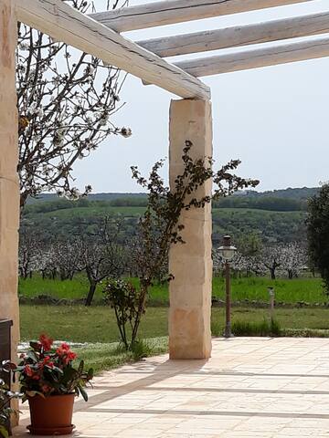 Trulli nella campagna pugliese gallery image 2