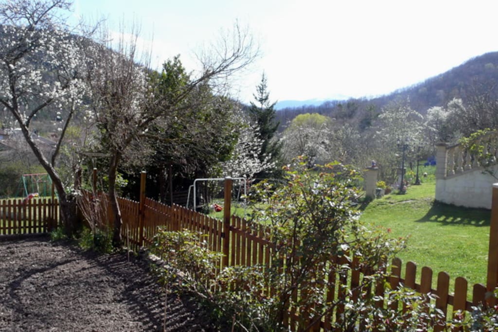 Vue depuis le jardin