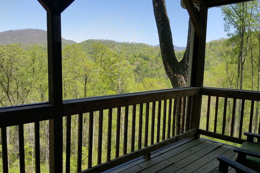 View from screened porch