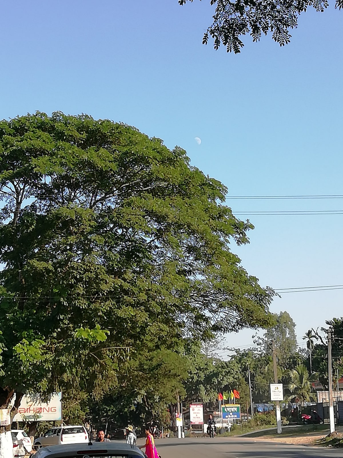 A clear sky is seen above a lush, green tree, with the moon faintly visible in the distance. The view includes a bustling road lined with trees, showcasing the natural environment of the village area.