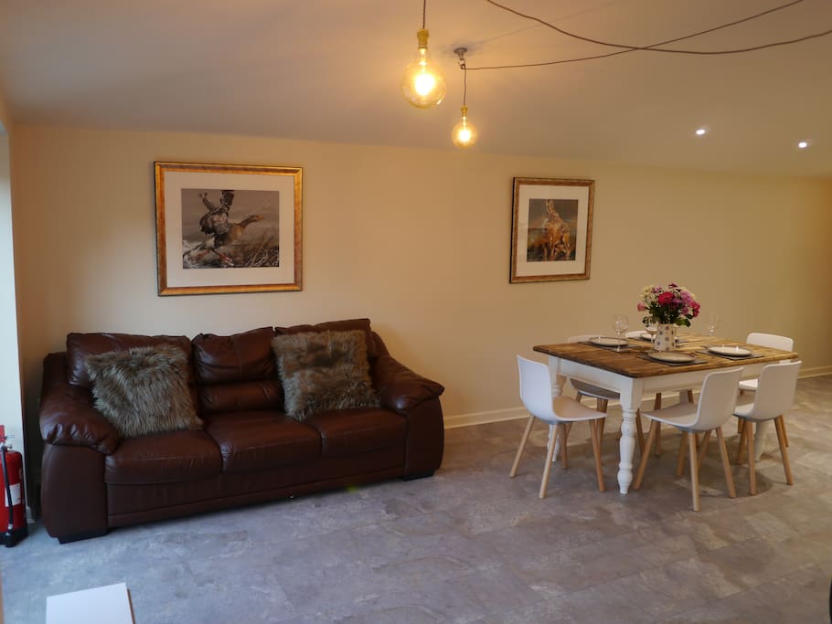 Dining/Living Room