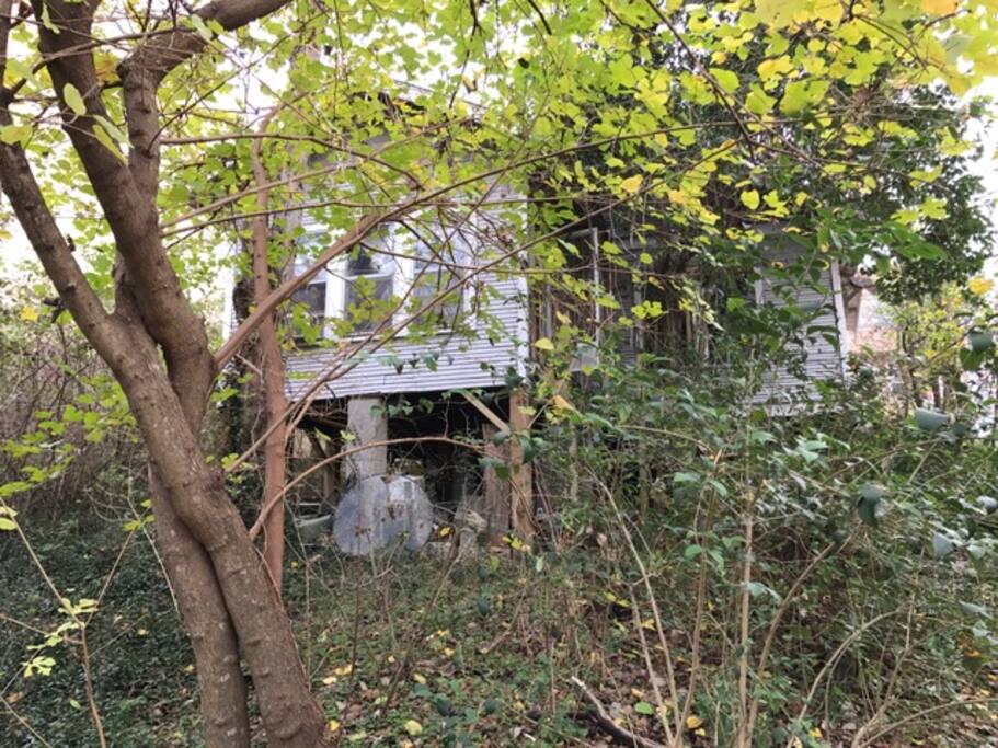 View from back yard