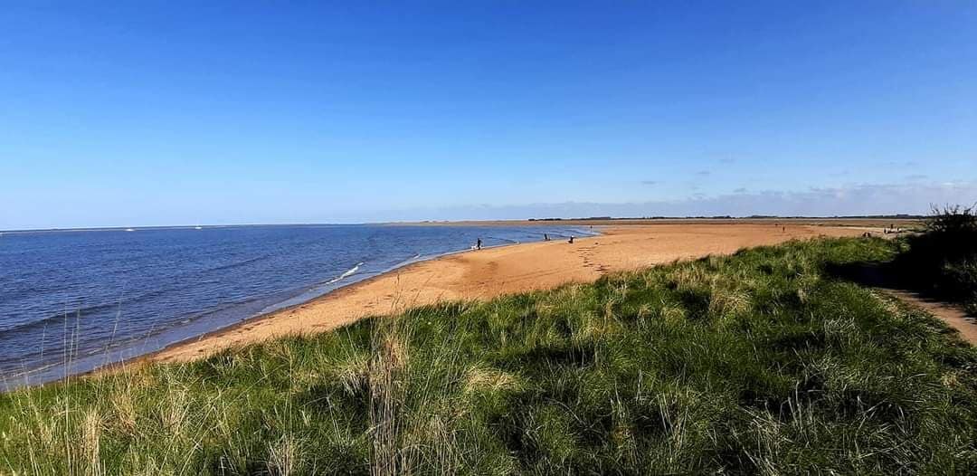 A serene landscape is captured, featuring a sandy beach that stretches along the calm waters. Gentle waves lap at the shore, while patches of green grass border the beach, creating a tranquil setting with a clear blue sky overhead.
