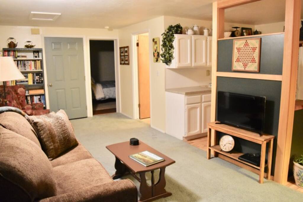 Living room with internet, blu-ray