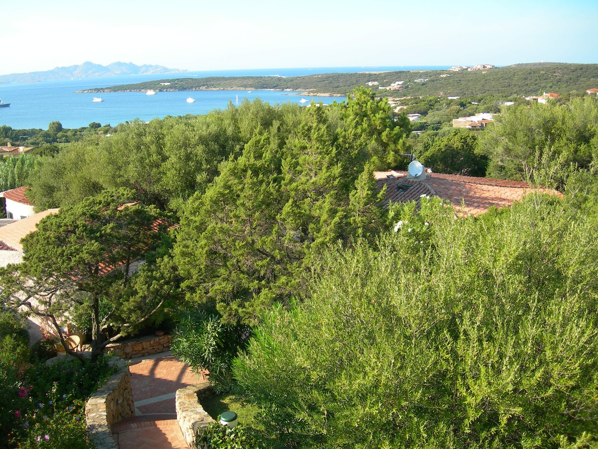 A panoramic view showcases lush greenery and vibrant trees, with the blue sea visible in the background. The landscape features distant hills and residential structures, creating a serene coastal atmosphere. Sunlight illuminates the scene, enhancing the natural beauty of the surroundings.