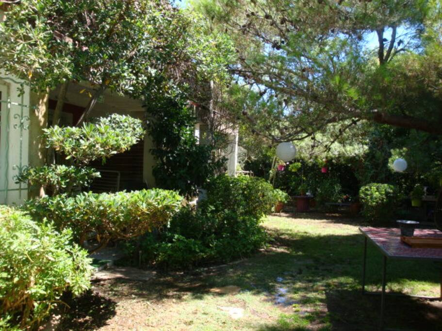 jardin agréable au calme