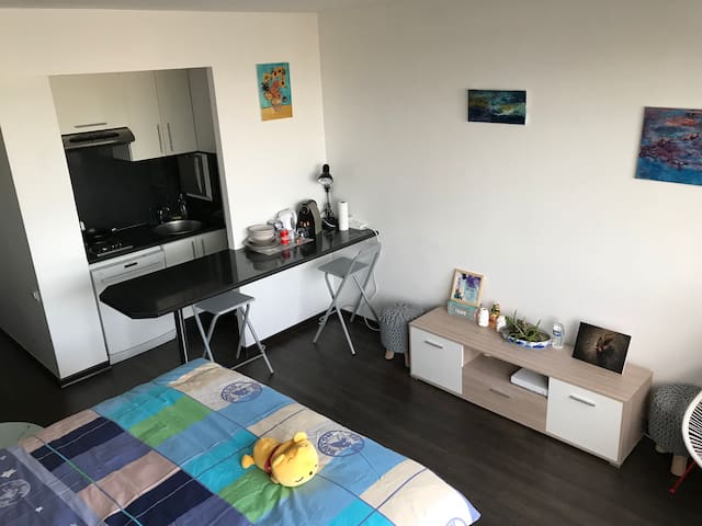 Airbnb Carrieres Sur Seine Vacation Rentals Places To Stay