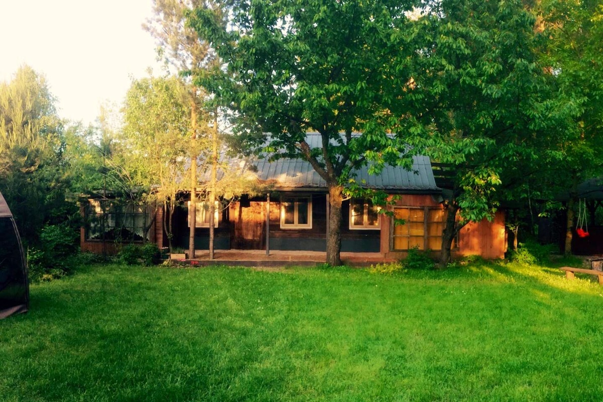A traditional cottage with a wooden façade is surrounded by lush greenery. Sunlight filters through the trees, illuminating the well-kept lawn. Multiple windows reflect the serene environment, providing a cozy feel to the outdoor space.