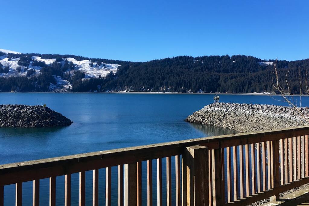 Seldovia Harbor from deck