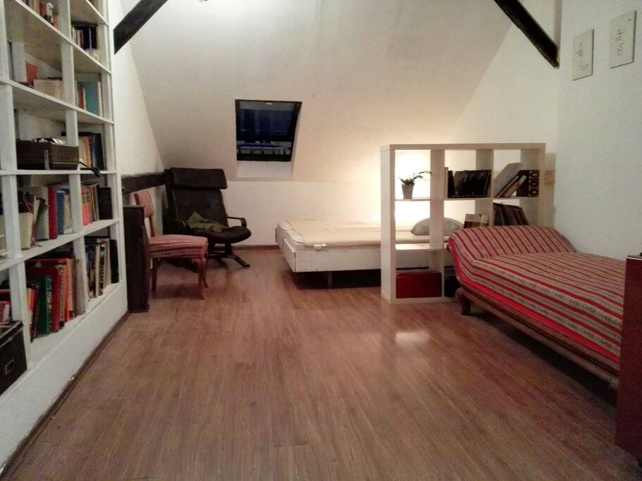 the living area