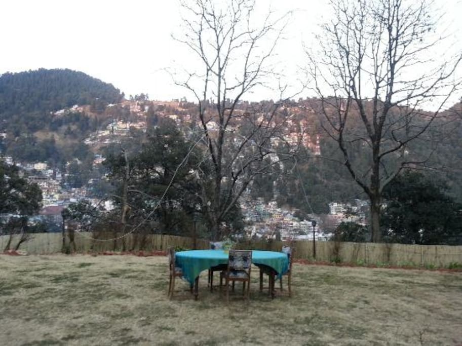 Garden
