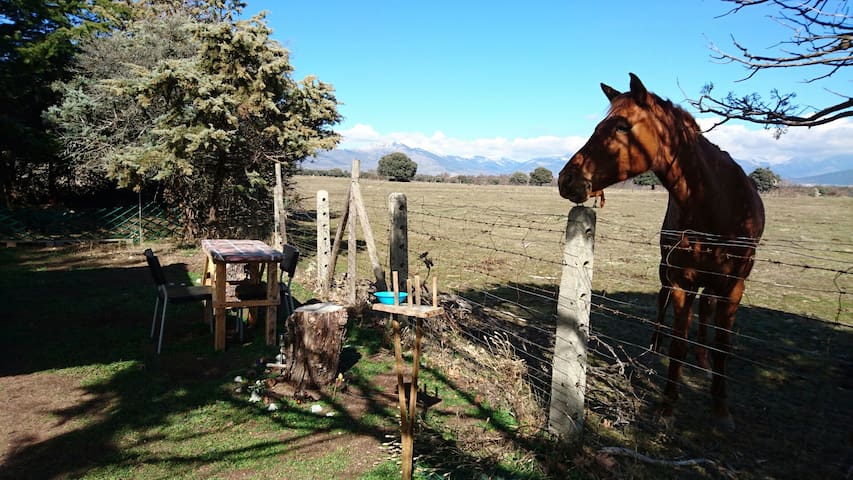 menú incómodo de las caídas de caballos
