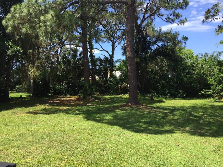 Back Yard