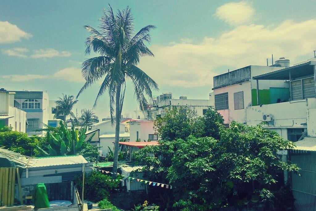 View from room