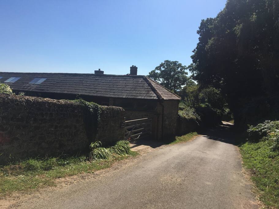 Secluded lane leading to the studio on left