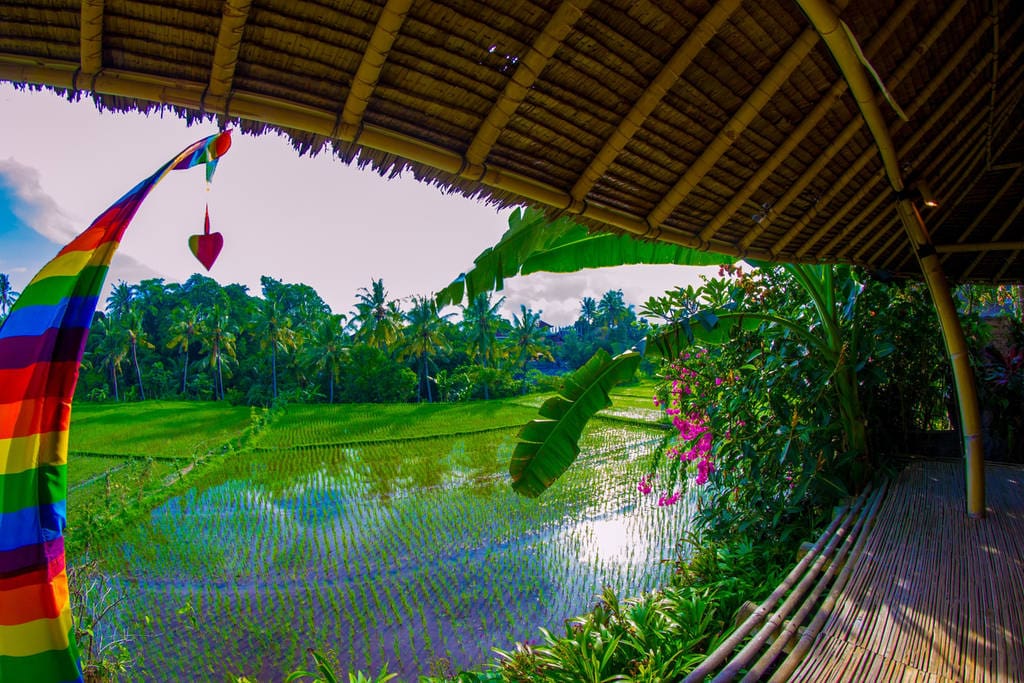 An bedroom downstair opening for an amazing view from the swinging bed