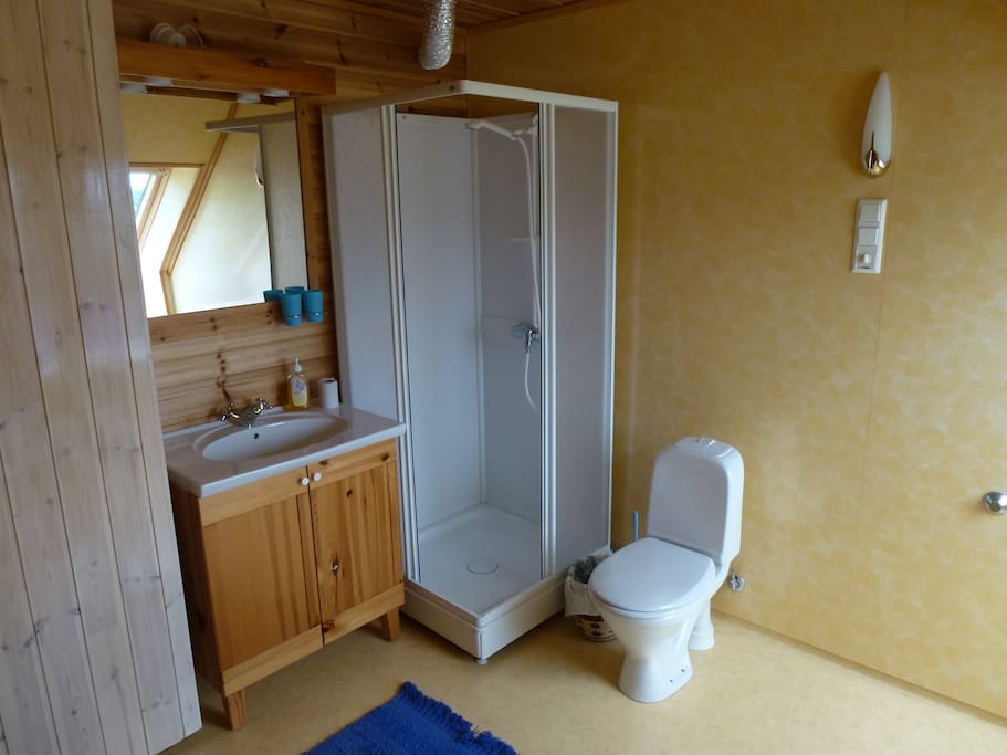 Large bathroom with sink, shower and toilet.