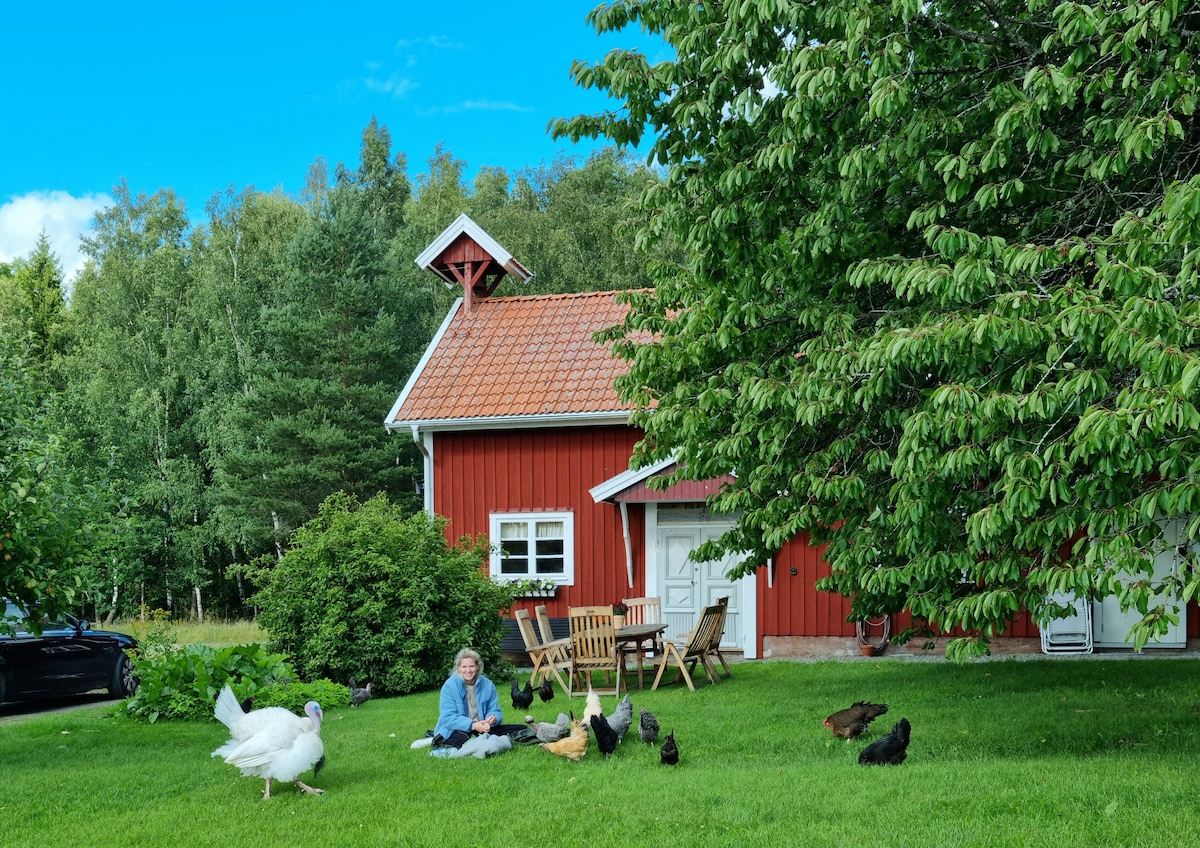 A charming red farmhouse is surrounded by lush greenery. A variety of poultry, including ducks and chickens, roam freely in the grassy area. A person is seen sitting on the ground, engaging with the animals. Outdoor furniture is positioned nearby, inviting relaxation.