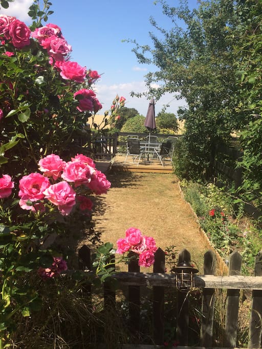 cottage garden