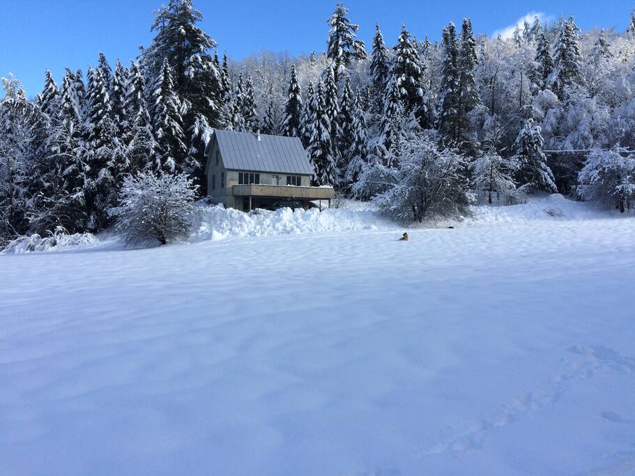 Winter View