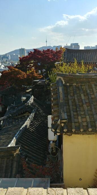 the view from the window