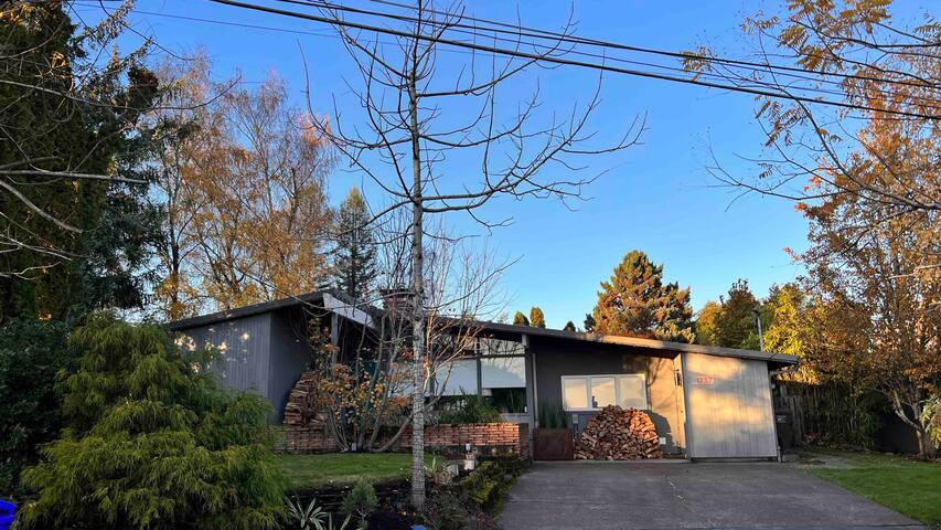 Sunny Mid century 3 bedroom home