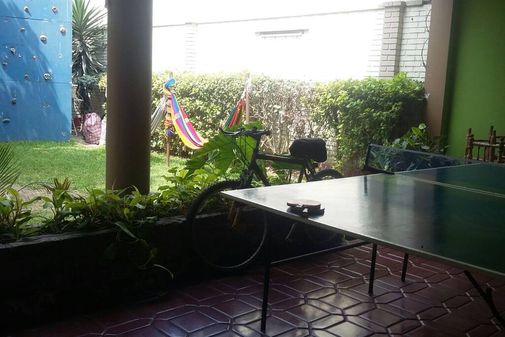 jardin