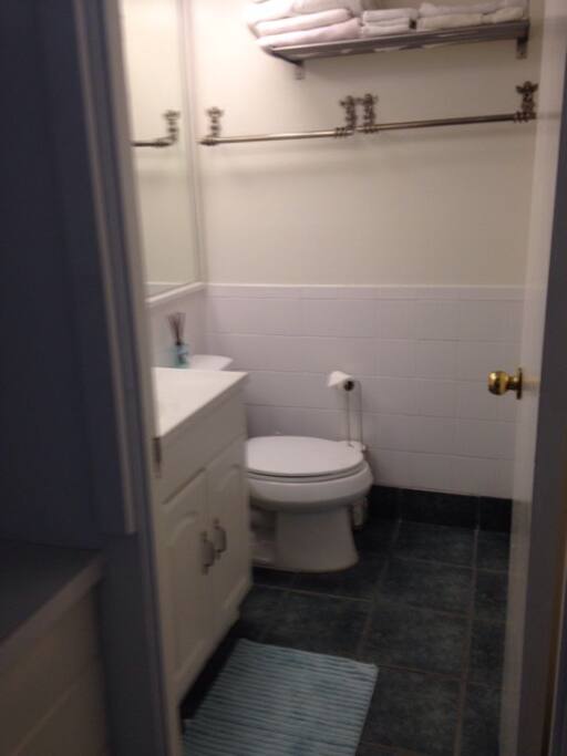 Newly upgraded bathroom w shower