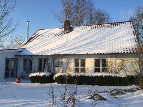 Baltic Sea fireplace cottage, secluded location on 7000 m² green