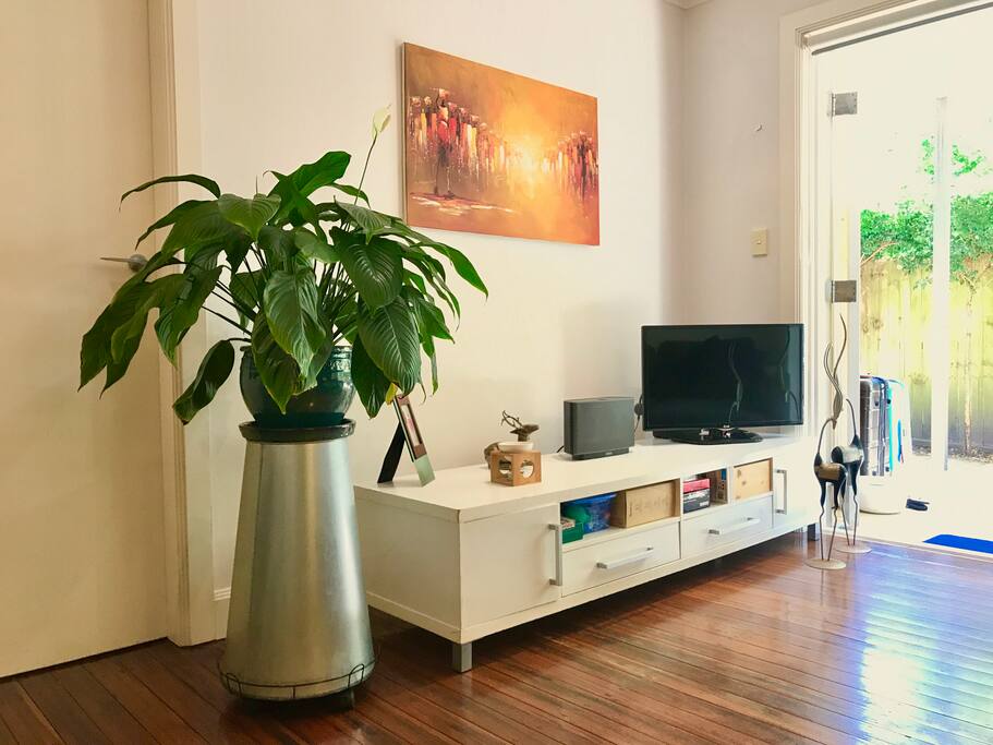 Living room - Sonos speakers and TV screen for Netflix (no cable connector though)