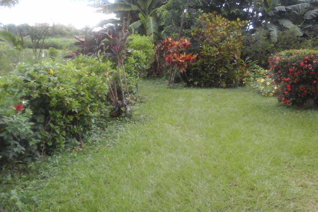 Mi jardín