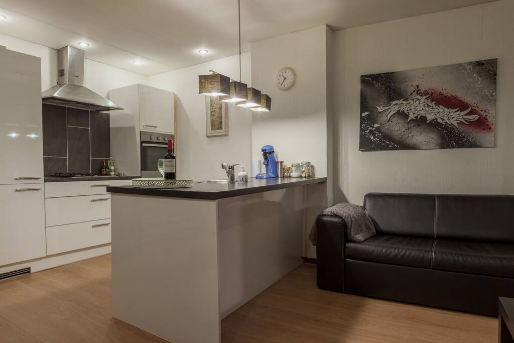 Livingroom and Kitchen