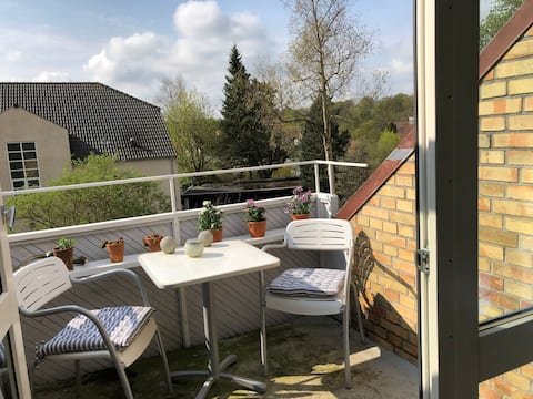 Spacious and bright penthouse close to transport