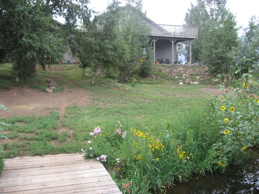 Back yard with creek