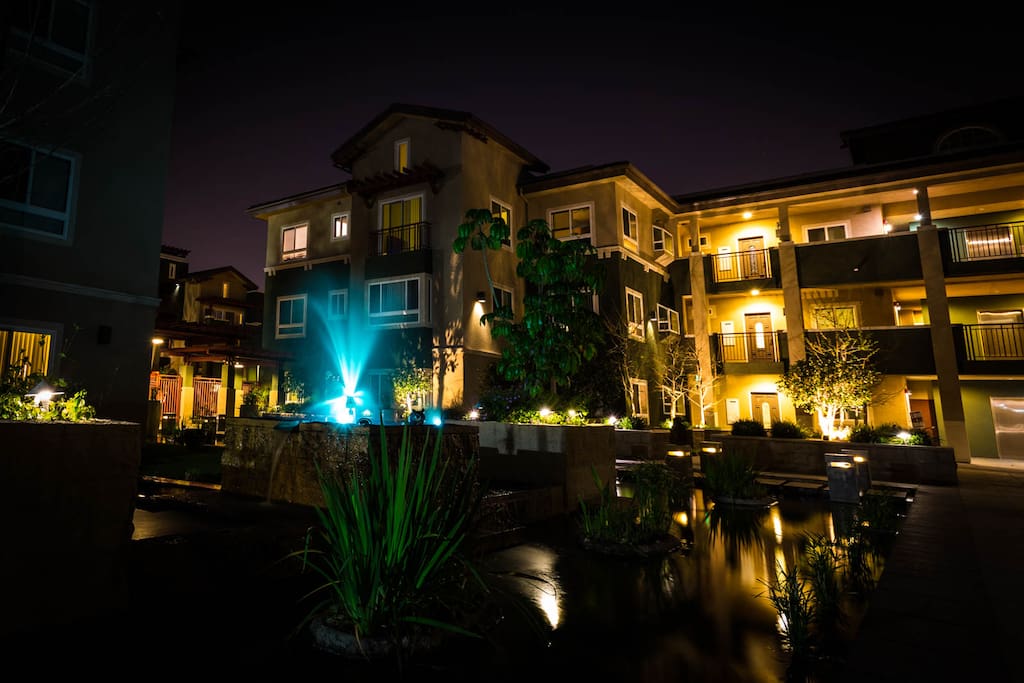 Zen Garden (night)