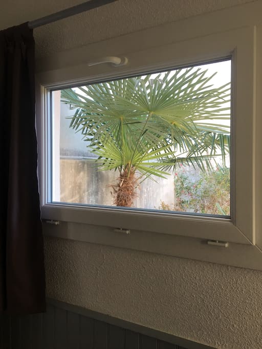 Fenêtre de La salle donnant sur une cour non accessible depuis l'appartement