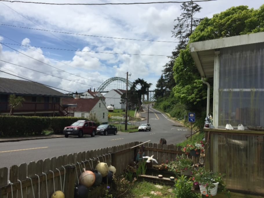 view from yard