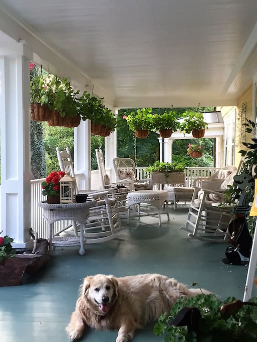 Chloe on our amazing front porch