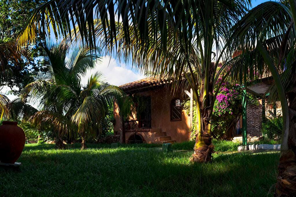 Entrance through the garden