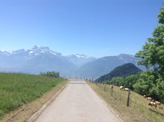 Stunning Swiss Chalet. gallery image 3