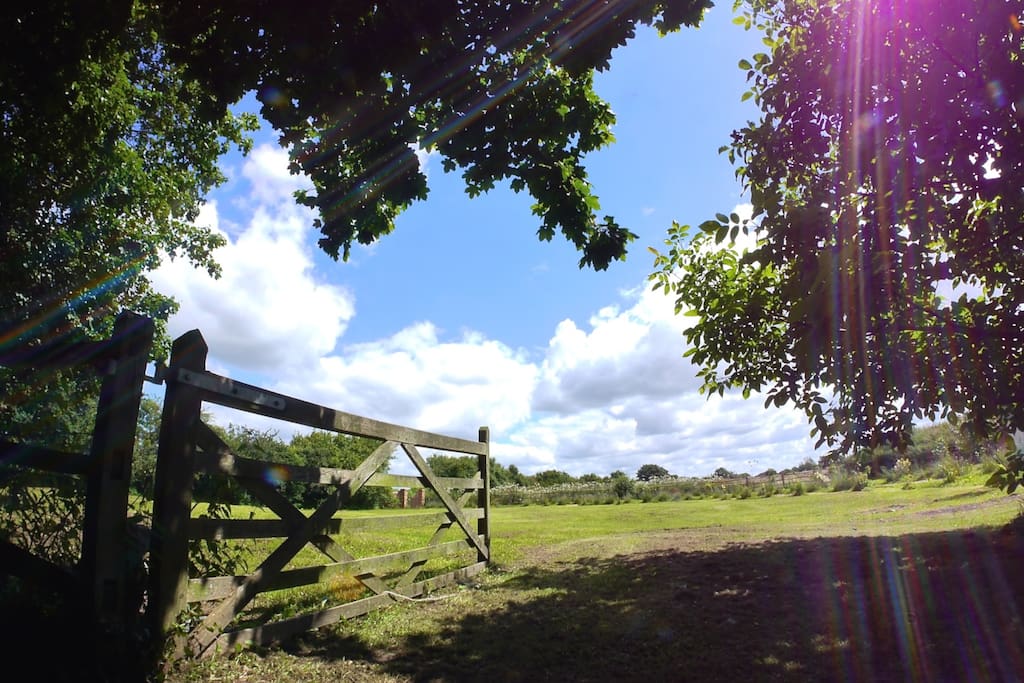 Your own green space