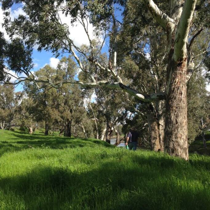 Surrounded by ancient river gums and bountiful nature yet less than 10 mins from Dubbo airport.