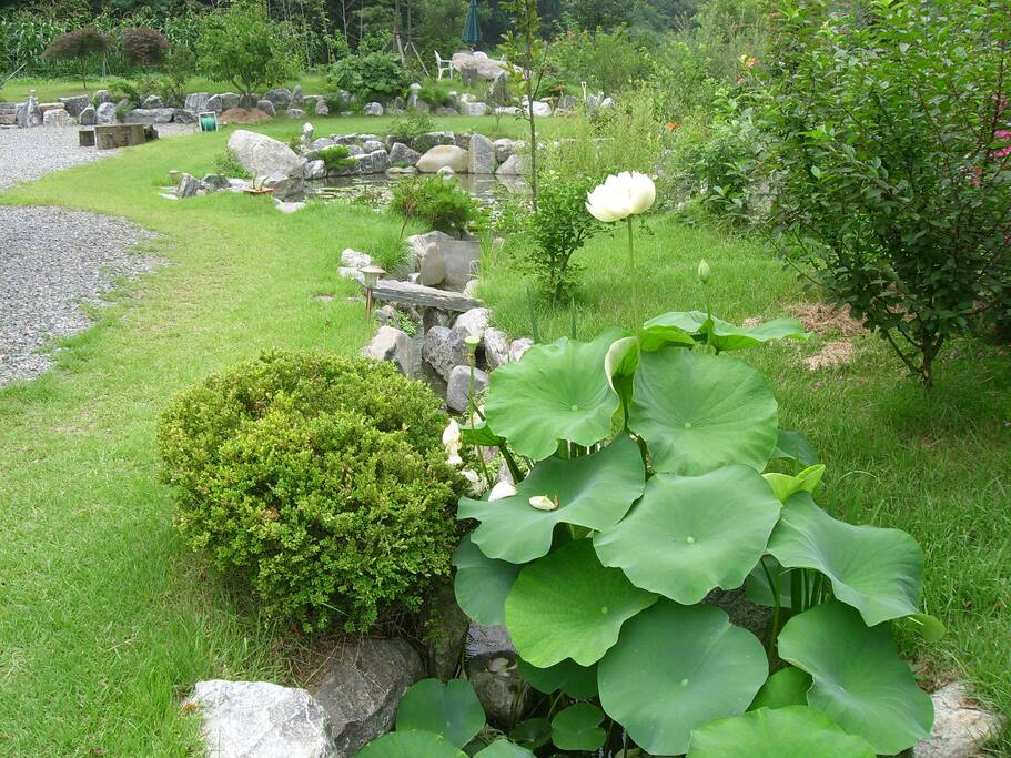 3. 신록의 여름