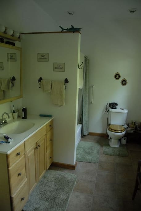 Bath off master bedroom. Tub and shower to left of toilet.