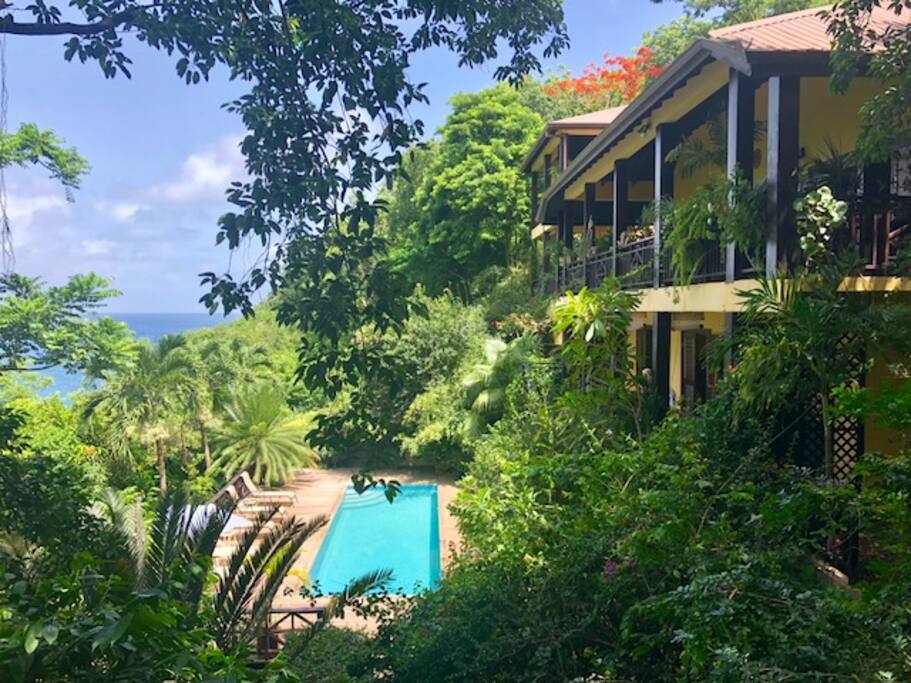 Views of the gardens, pool, villas and ocean from the tree deck.